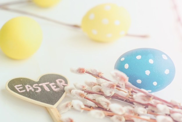 Oeufs de Pâques, fleurs printanières et saule sur fond blanc