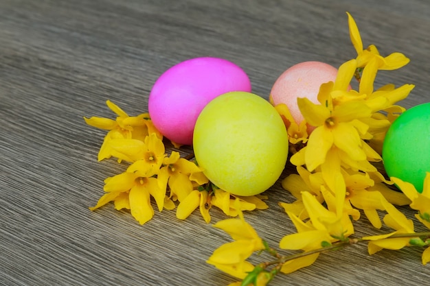 Oeufs de Pâques sur une floraison d'oeufs colorés fleurs de printemps