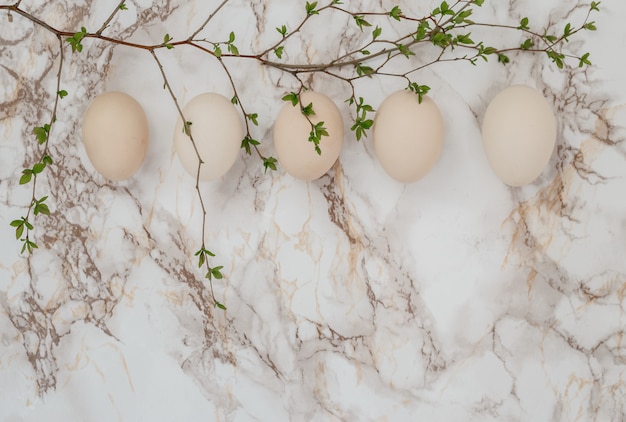 Oeufs de Pâques sur fond de marbre. brin de verdure. Lieu d'inscription. vue de dessus