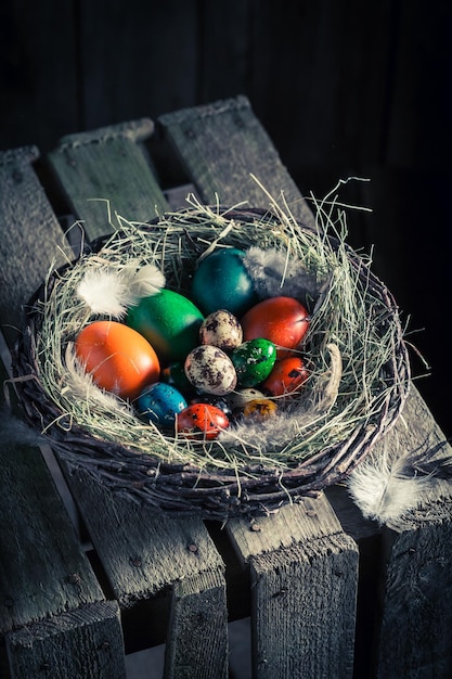 Oeufs de Pâques frais dans le cottage rustique