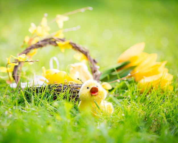 Oeufs de Pâques sur l'herbe verte Concept de vacances de printemps