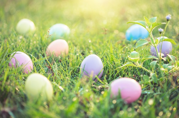 Photo oeufs de pâques sur l'herbe verte