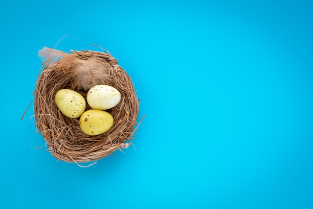 Oeufs de Pâques jaunes dans un nid sur fond bleu.