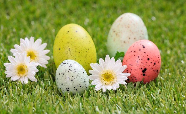 Oeufs de Pâques et marguerites blanches sur l'herbe verte vue rapprochée