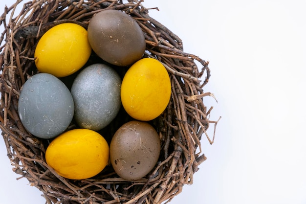 Oeufs de Pâques multicolores dans un nid d'oiseau isolé sur fond blanc. Vue de dessus. Espace de copie