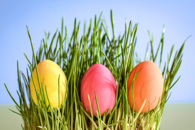 Oeufs de Pâques multicolores