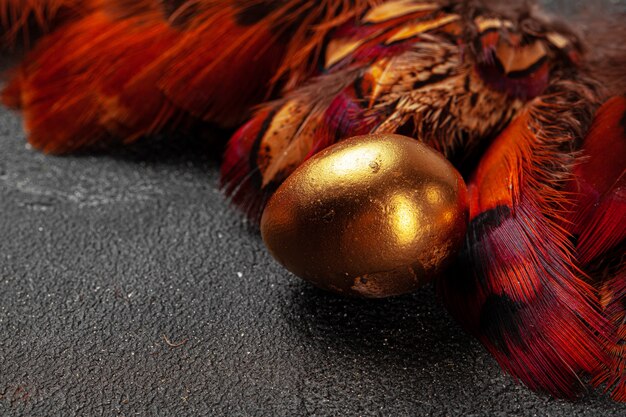 Oeufs de Pâques d'or sur des plumes d'oiseaux rouges se bouchent