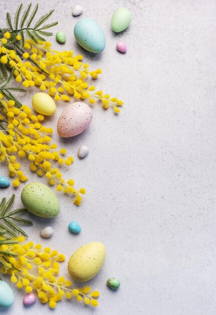 Des œufs de Pâques pastel et des fleurs de mimose jaunes sur un fond gris clair