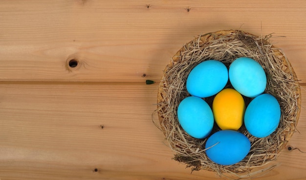 Oeufs de Pâques peints aux couleurs nationales du drapeau ukrainien dans un nid sur fond de bois