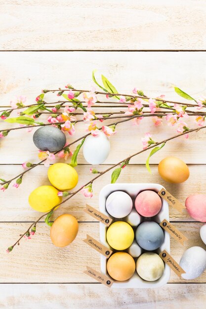 Oeufs de Pâques peints avec un colorant naturel à base d'oeufs de fruits et légumes.