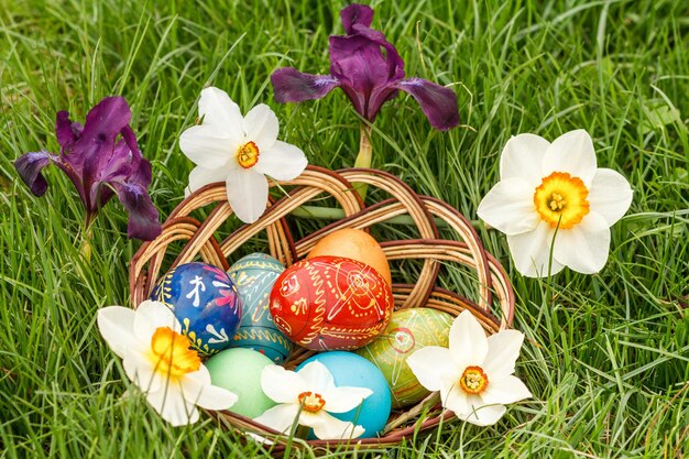 Oeufs de Pâques peints et colorés dans un panier en osier et fleurs de narcisse et d'iris dans l'herbe verte