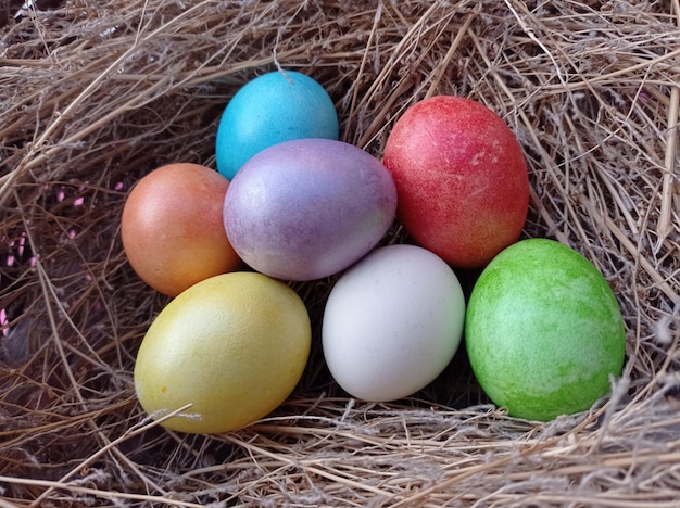 Oeufs de pâques peints multicolores dans un panier oreilles lapin fond rose blanc