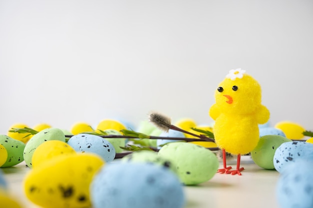 Oeufs de pâques peints et petit espace de copie de poulet jaune