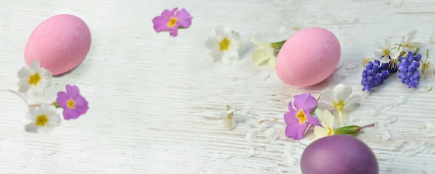 Oeufs de Pâques peints en rose et violet sur une table parmi les fleurs et pétales de printemps