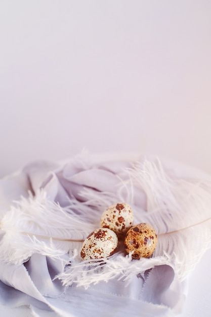 Oeufs de Pâques avec plume blanche sur fond blanc et gris. Joyeuses fêtes de Pâques, vue de face et de dessus.