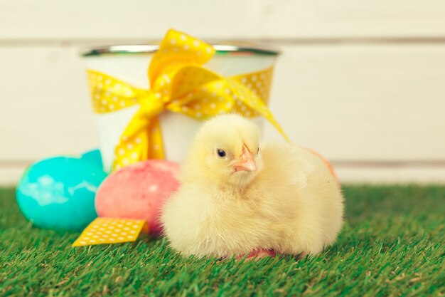 Oeufs de Pâques et poulets sur l'herbe verte