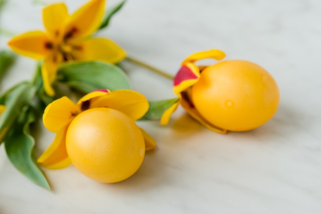 Photo oeufs de pâques avec des tulipes jaunes