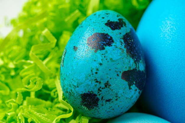 Oeufs peints en bleu dans un nid pour Pâques