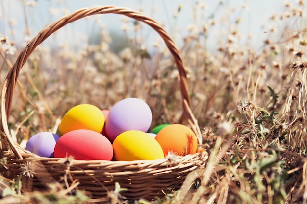 Oeufs peints de Pâques dans le panier sur le pré