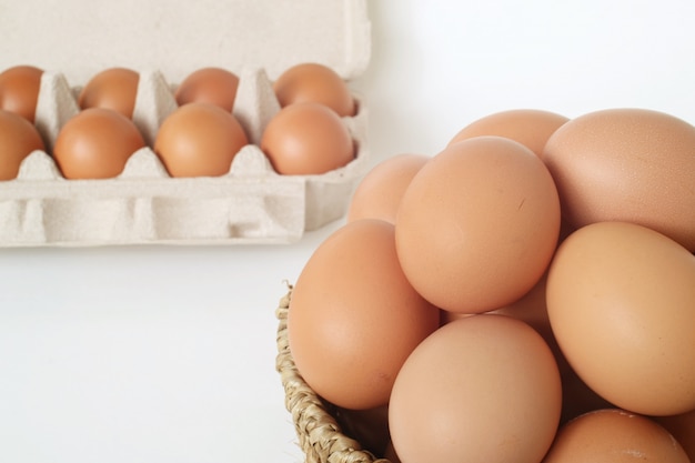 Oeufs en plateau sur fond blanc.