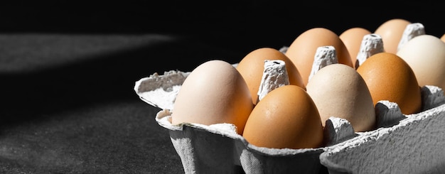 Oeufs de poule bio sur fond de bois foncé avec espace de copie