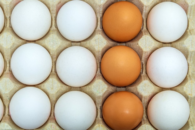 Oeufs de poule blancs et bruns dans le bac