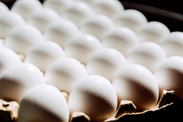 Oeufs de poule blancs dans le bac