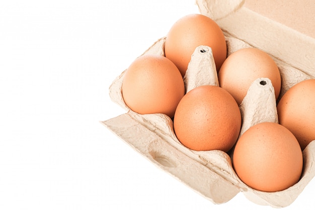 Oeufs de poule brune dans une boîte en carton isolé sur blanc