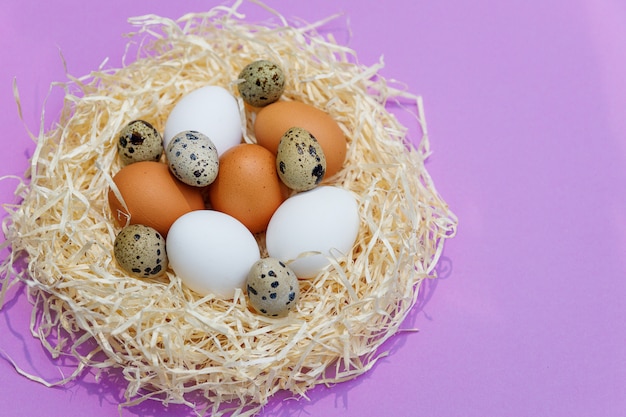 Oeufs de poule et de caille en nid de paille sur lilas