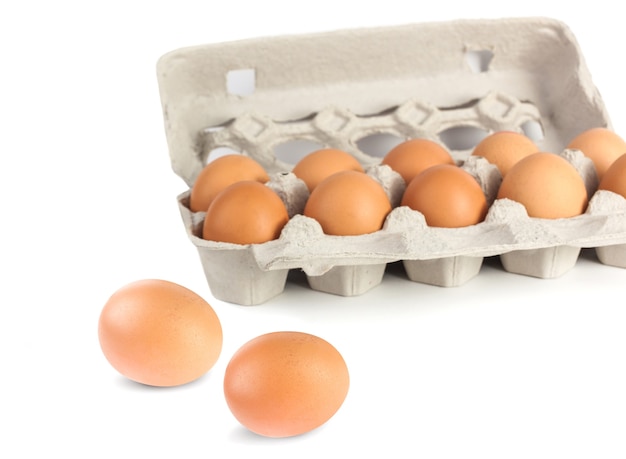 Oeufs de poule en carton d'oeufs en pulpe isolé sur fond blanc