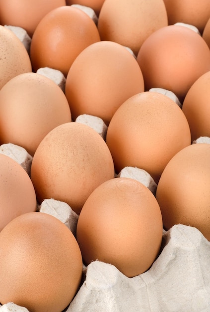 Oeufs de poule de couleur brune dans un plateau en carton