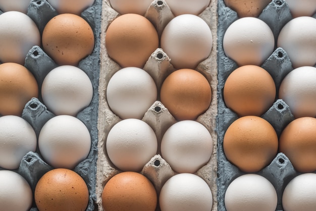 Oeufs de poule dans le bac à œufs cellulaire