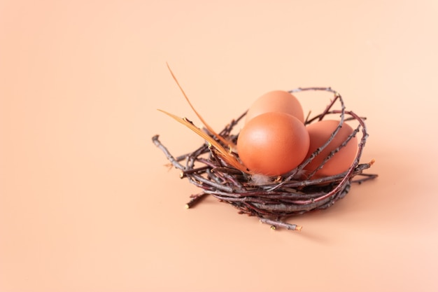 Oeufs de poule dans un nid sur beige