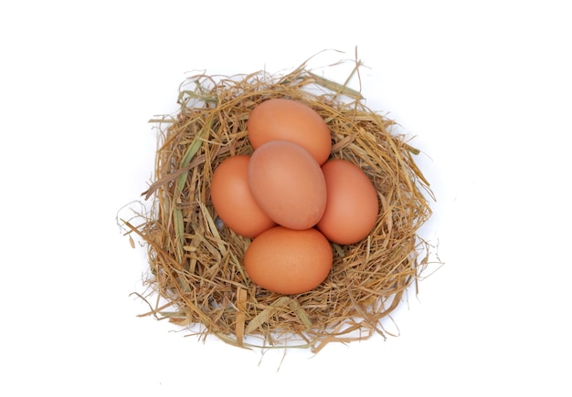 Oeufs de poule dans le nid isolé sur fond blanc