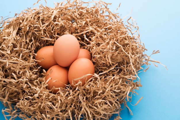 oeufs de poule dans un nid de papier