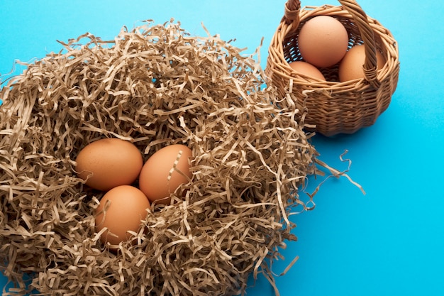 oeufs de poule dans un nid de papier