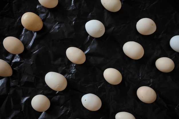 Oeufs de poule sur fond noir Les oeufs de poule sont symétriques Quelques oeufs sur fond noir