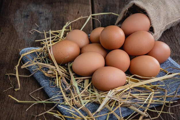 Photo Œufs de poule posés sur une paille