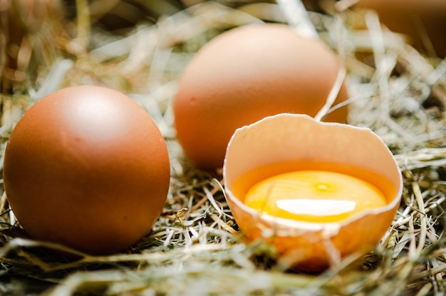 Des œufs de poule sur une table en bois.