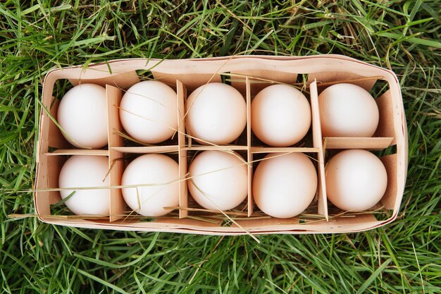 Oeufs de poulet blanc cru frais dans une boîte en bois sur l'herbe verte