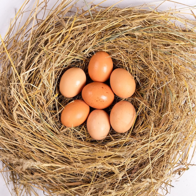 Oeufs de poulet brun frais dans le foin, oeufs dans la vue de dessus du nid.