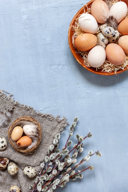 Oeufs de poulet et de caille sur une assiette de saule