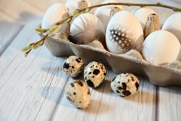 Oeufs de poulet et de caille blancs de pâques support kraft gris fond clair branches de saule pâques