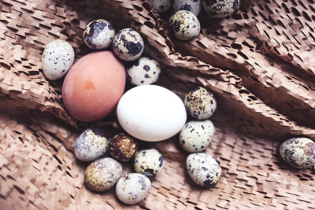 Oeufs de poulet et de caille dans un nid sur table brune, concept de famille