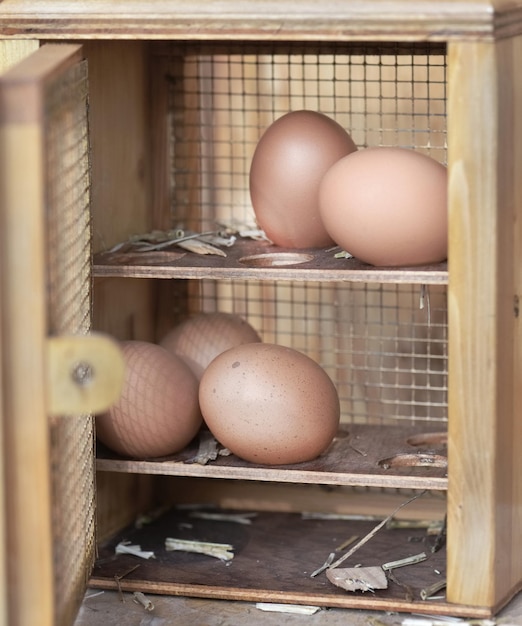 des œufs de poulet dans une boîte rustique ouverte sur un fond en bois