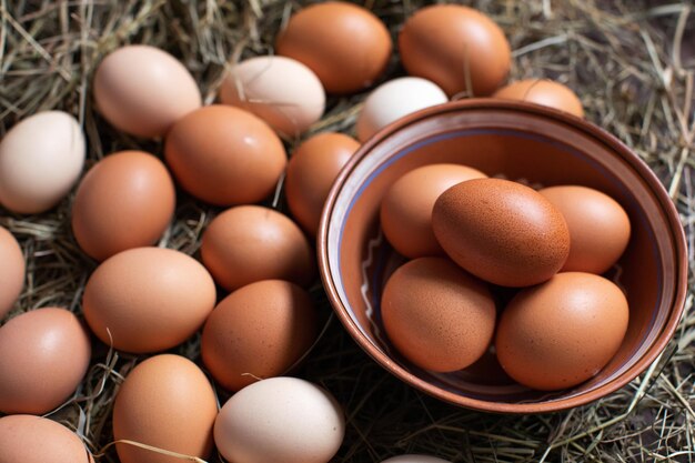 Les œufs de poulet faits maison se trouvent sur le foin et dans un bol