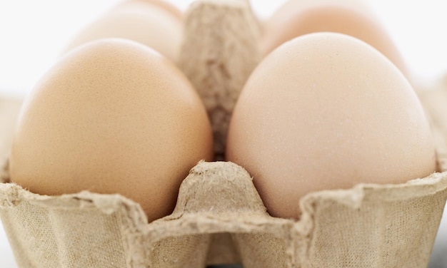 œufs de poulet sur fond blanc concept d'œufs de chicken d'orange frais pour une cuisine et une cuisine saines