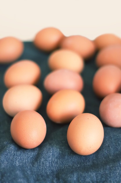 Oeufs préparés pour la décoration de la célébration de l'aster Etraditional.