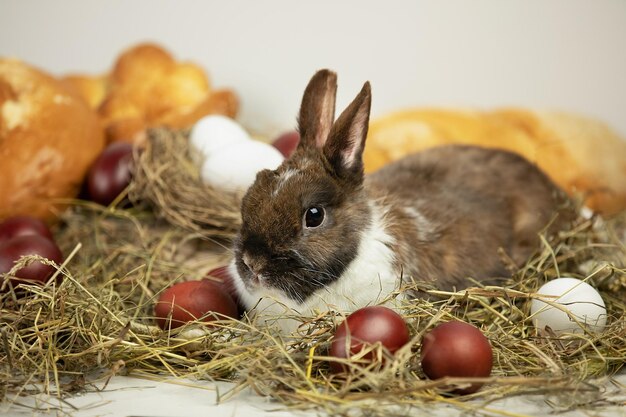 Oeufs et produits de boulangerie sur foin avec petit lapin sur fond blanc