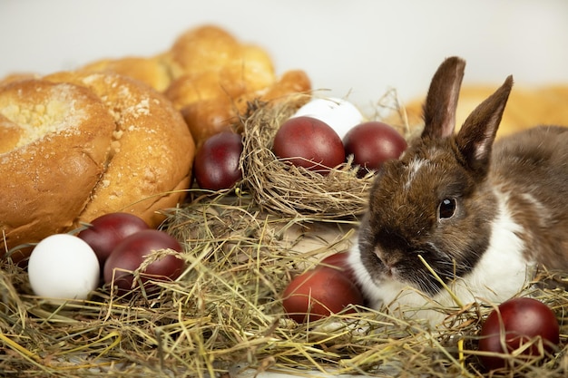 Oeufs et produits de boulangerie sur foin avec petit lapin sur fond blanc